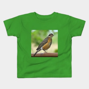 American Robin-4 Kids T-Shirt